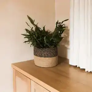 Casa Montore Boutique - 90