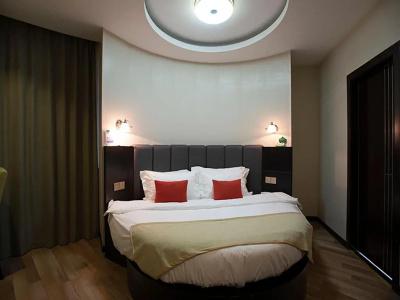 Shanghai Joyful Star(Pudong Airport/Shanghai International Resort/Free Trade Zone) - 25