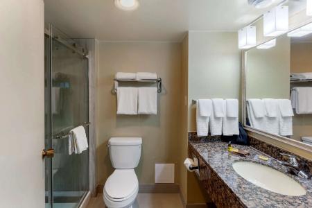 Best Western Plus Toronto Airport - 45