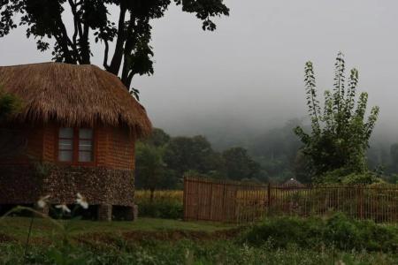 The Countryside - 57