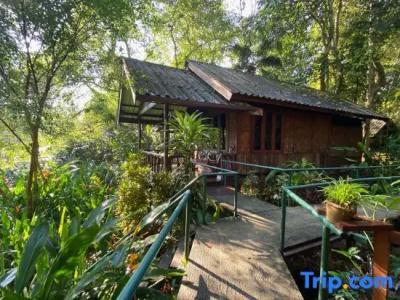 Khaosok Riverside Cottages - 102