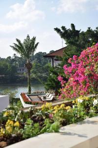 Mahaweli Reach - 35