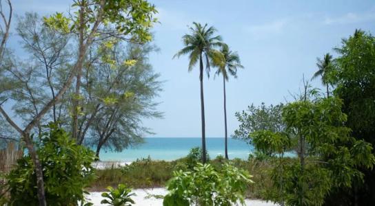 Tamu Koh Rong - 47