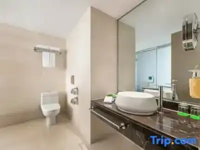 Holiday Inn Nanjing Aqua City, An Ihg - 166