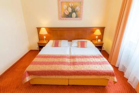 Ensana Centrální Lázně - Maria Spa - 70