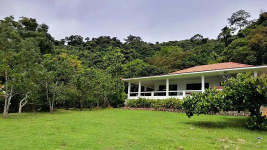 Q Bungalows - 49