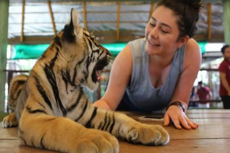 Cocoville Phuket - Sha Plus - 18