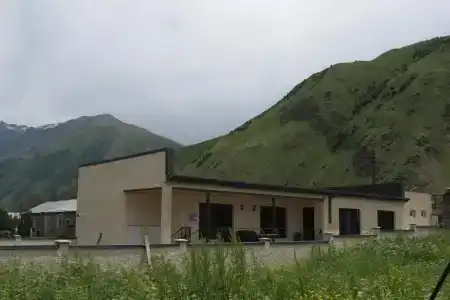 Bibos kokhi - 10