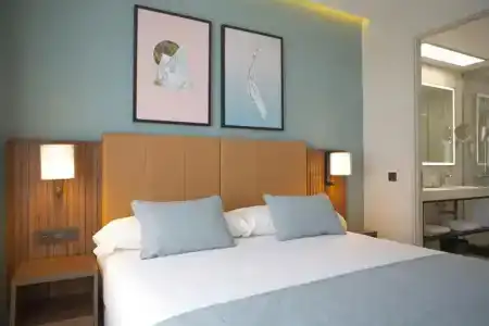 Riu Plaza España - 56