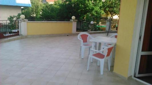 Bellisimo - 23
