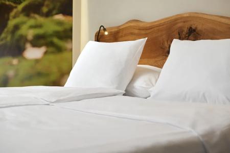 Orea Resort Horal ŠPindlerův Mlýn - 36