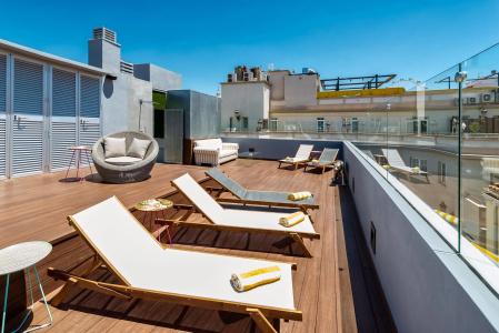 Mariposa Malaga - 13