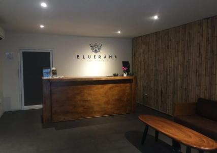 Bluerama - Adults Only - 0
