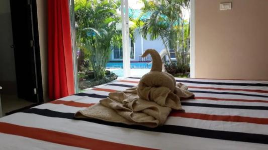 Carpe Diem Guest House - 14