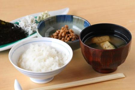Garden Shizuoka - 13