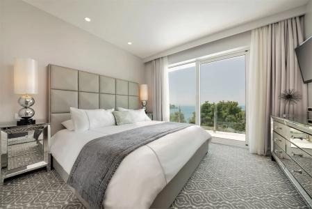 Royal Palm - 4