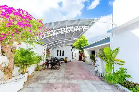 Oyo 598 Peony - 0