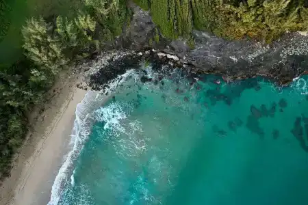 The Ritz-Carlton Maui, Kapalua - 36