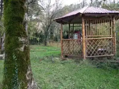 Villa Gelati - 10