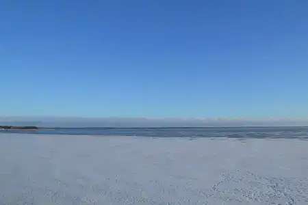 Журавушка - 20