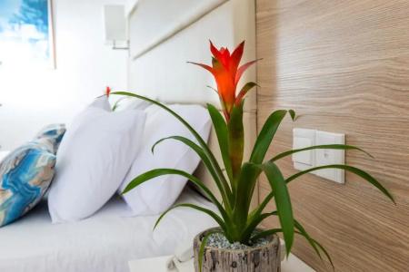 Ascos Coral Beach - 48