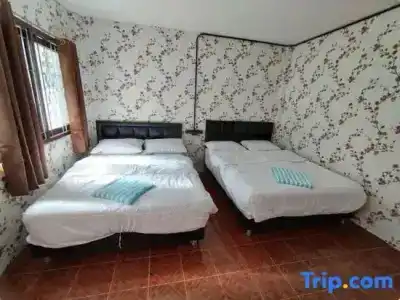 D Luck Hostel - 44