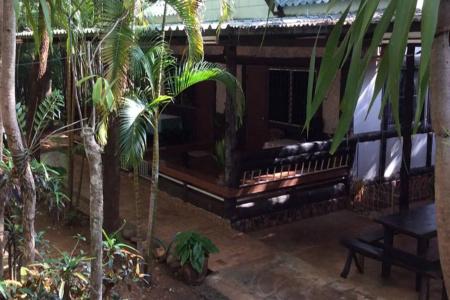 Sam's Jungle - 4
