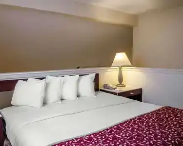 SureStay Studio by Best Western - 123