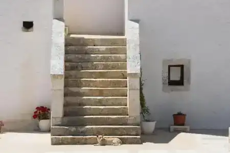 Masseria Calandrella - 10
