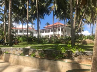 Turtle Bay - 56