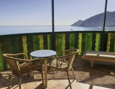 Kaktus Albir - 96