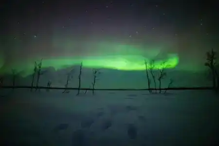 Northern Lights Village Levi - 23