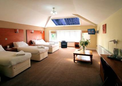 The Edgbaston Palace - 2