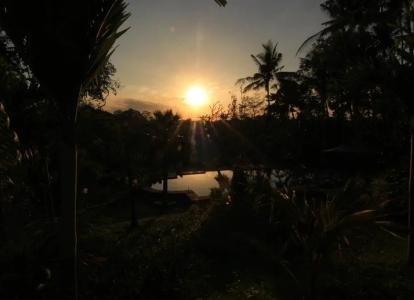 Capung Mas - 36
