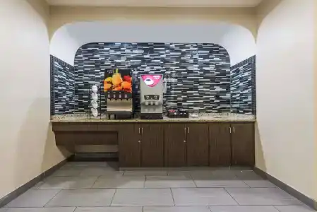 Microtel Inn & Suites by Wyndham Ft. Worth North/At Fossil - 10