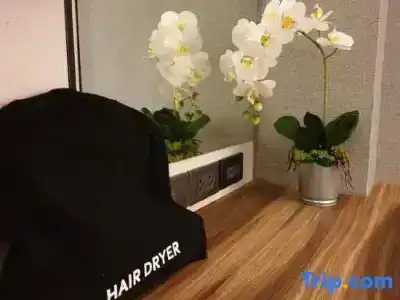 Syama Nana - 50