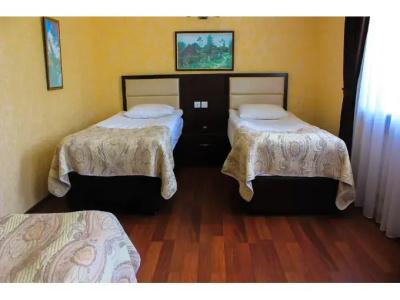 Vilesh Palace - 31