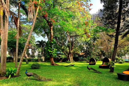 Royal Orchid Sheraton And Towers - Sha Extra Plus - 35