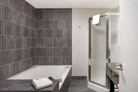 Comfort Suites Airport Nashville - 56