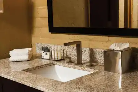 DoubleTree Suites by Hilton Tucson-Williams Center - 77