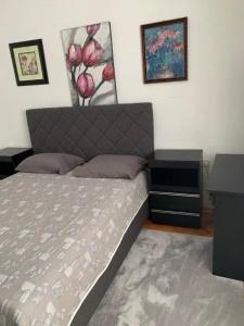 Anita Guest House - 21