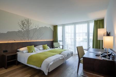 Artos Interlaken - 5