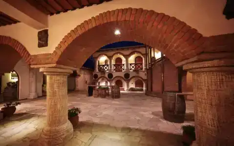 Vinifera Vineyards - 12