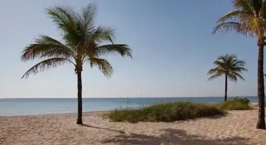 Windjammer Resort and Beach Club - 15