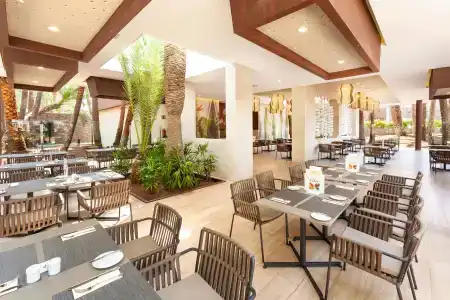 Riu Palace Oasis - 13