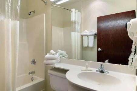 Microtel Inn and Suites by Wyndham / Shreveport - 27