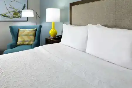 Hampton Inn Orlando Near Universal Blv/International Dr - 39