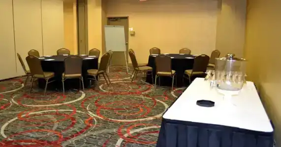 Holiday Inn Houston s - Nrg Area - Med Ctr, An Ihg - 10