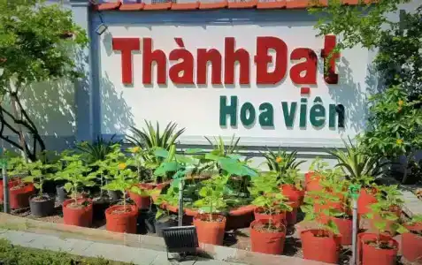 Thanh Dat Resort - 0