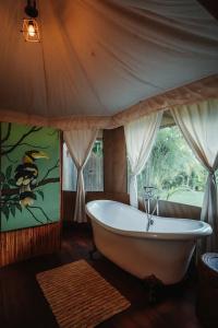 9 Hornbills Tented Camp - Sha Plus - 66